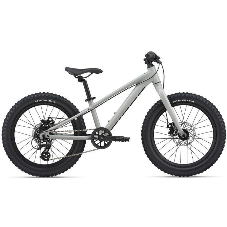 kids giant mountain bike