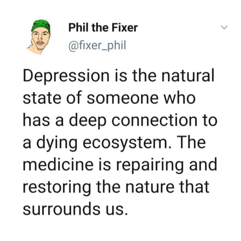 Depression is the natural state of someone who has a deep connection to a dying ecosystem. The medicine is repairing and restoring the nature that surrounds us.