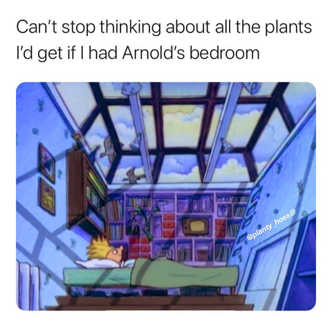 Can't stop thinking about all the plants I'd get if I had Arnold's bedroom