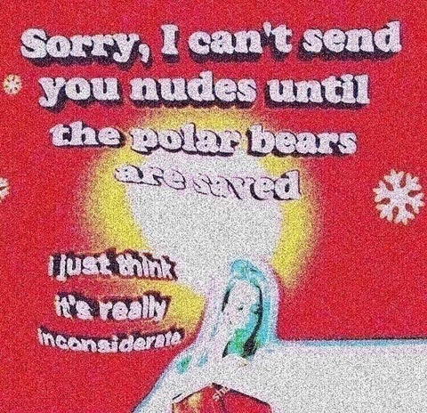 Sorry I can't send nudes until the polar bears are saved. I just think it's really inconsiderate.