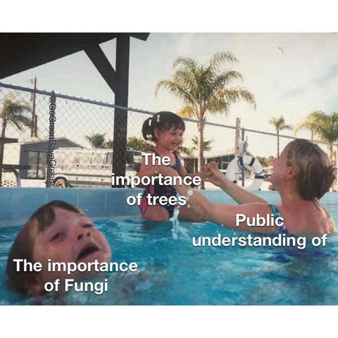Public understanding of... The importance of trees, The importance of Fungi.