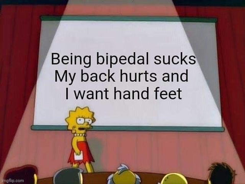 Being bipedal sucks My back hurts and I want hand feet