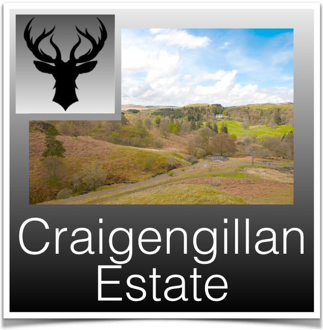 Craigengillan Estate