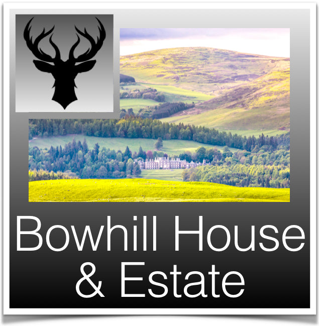 Bowhill House and estate