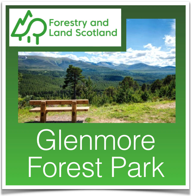 Glenmore Forest Park