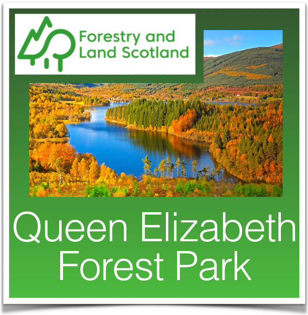 Queen Elizabeth Forest Park