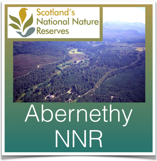 Abernethy