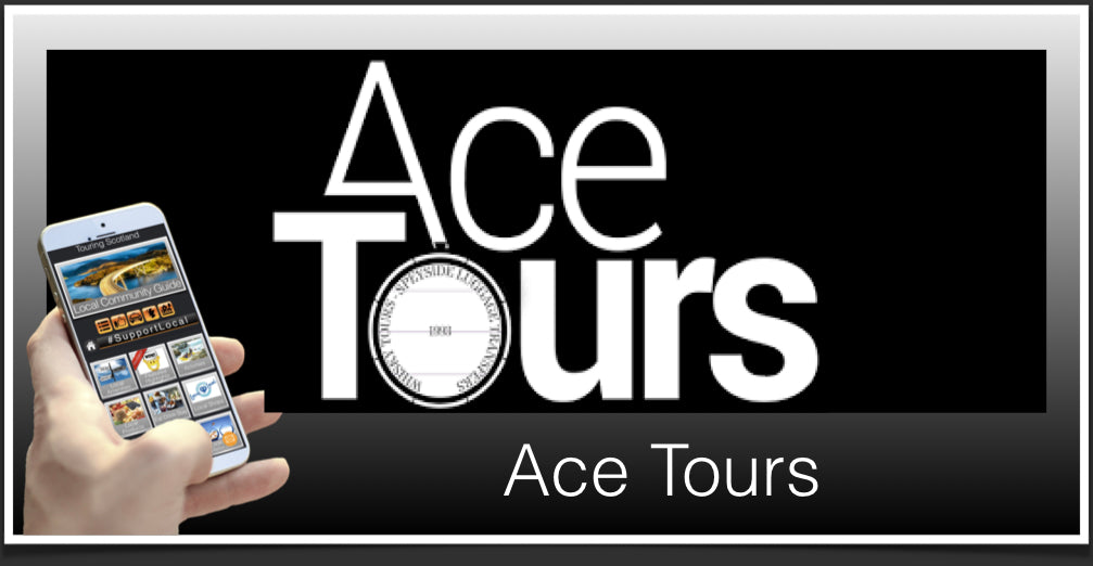 Ace Tours