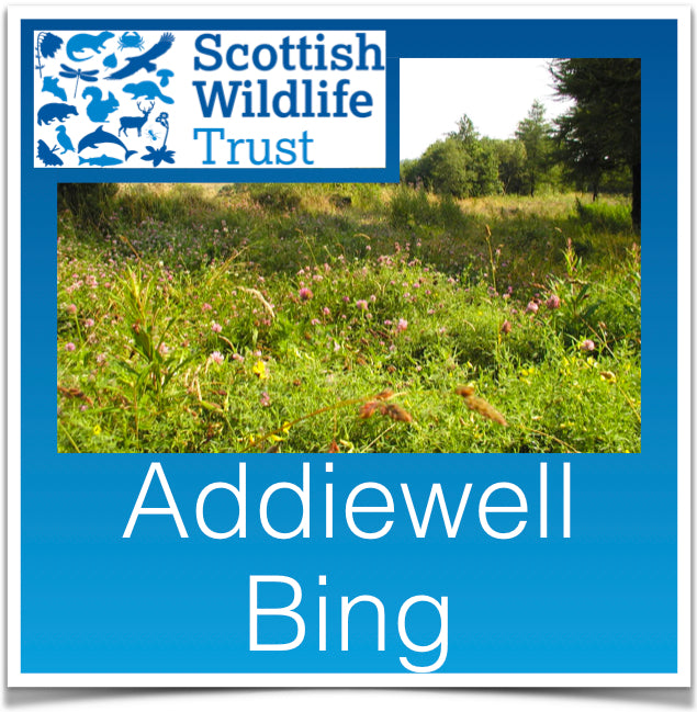 Addiwell Bing