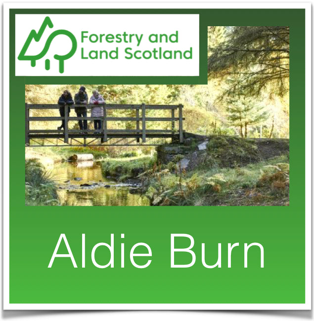 Aldie Burn