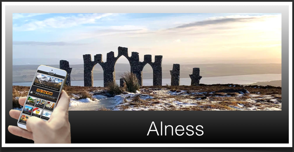 Alness Community Guide