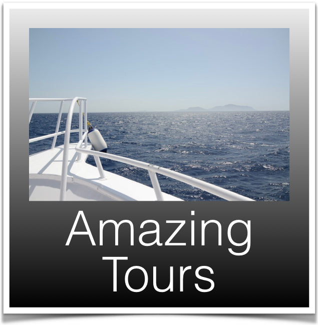 Amazing Tours Guides (Trips)