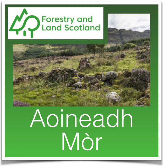 Aoineadh Mo