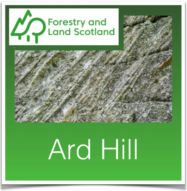 Ard Hill