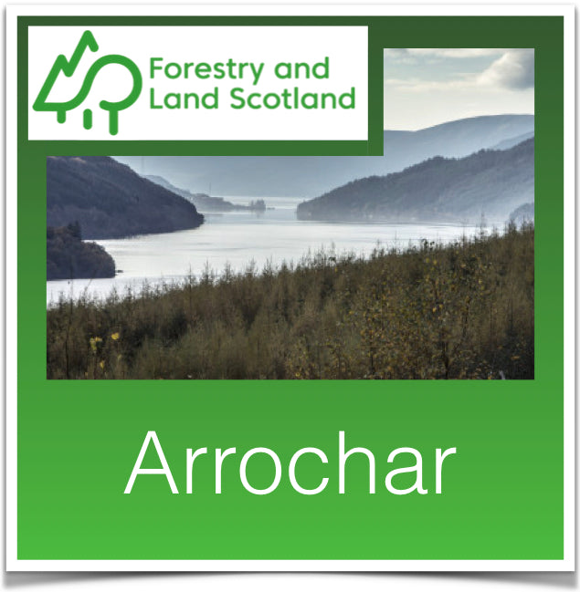 Arrochar