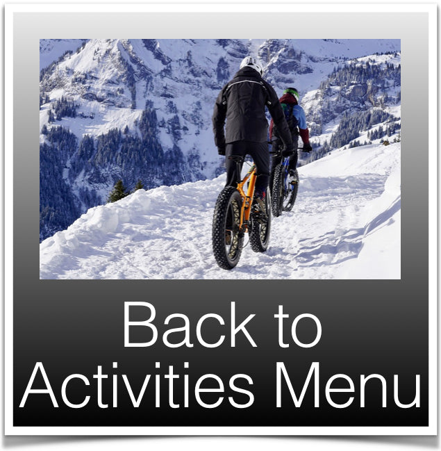 Back to Activities Menu (Button)