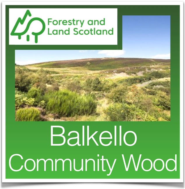 Balkello Community Wood