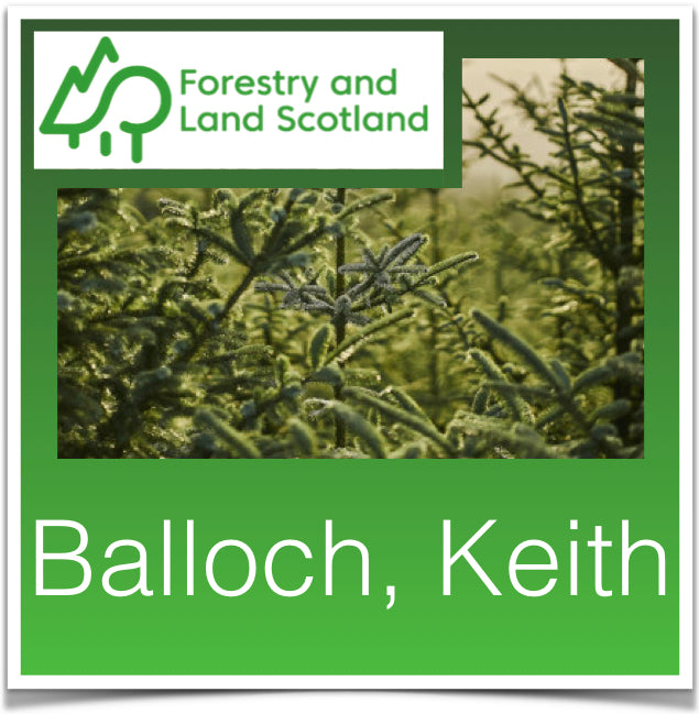 Balloch, Keith