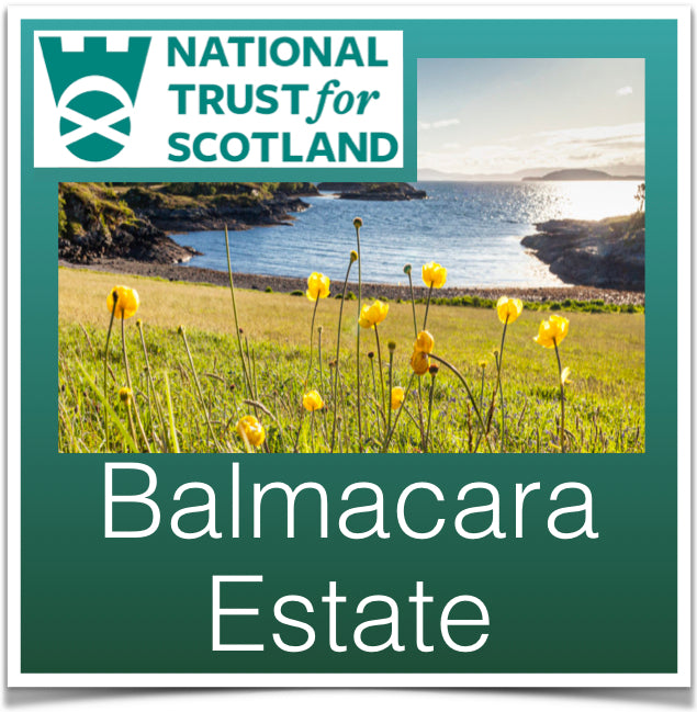 Balmacara Estate