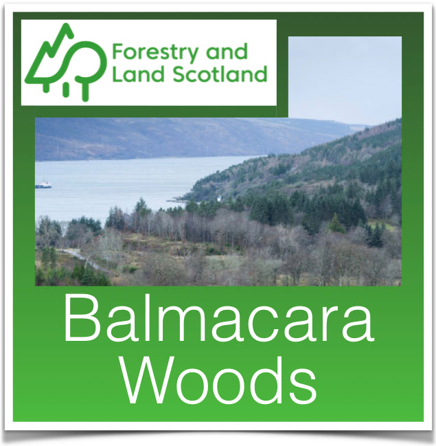 Balmacara Woods