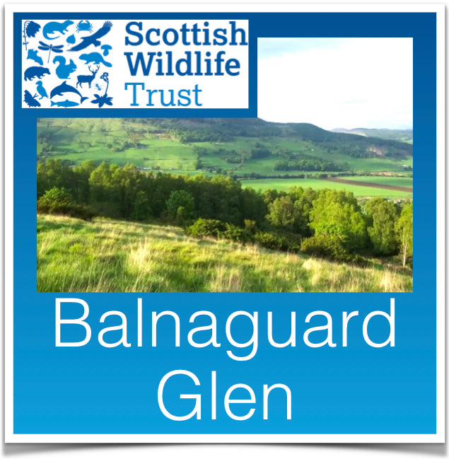 Balnaguard Glen