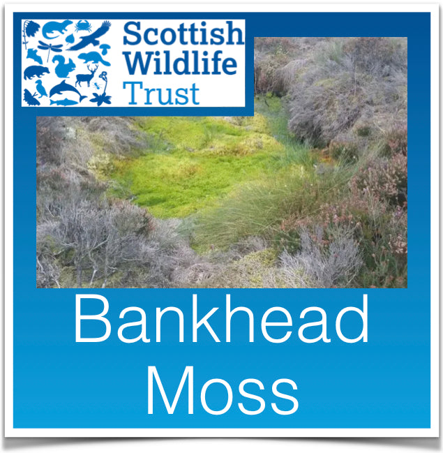 Bankend Moss