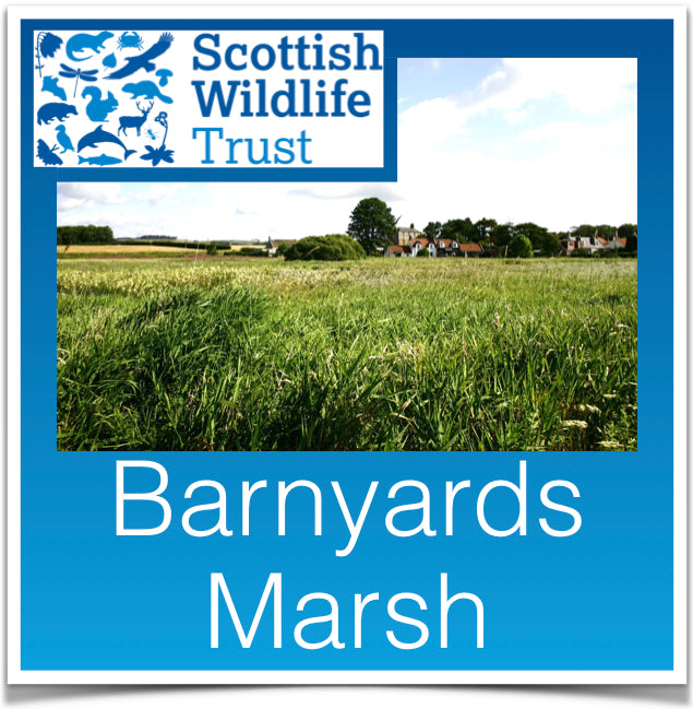 Barnyeards Marsh