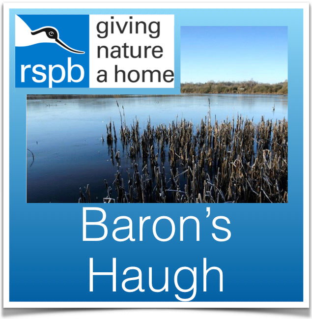 Barons Haugh