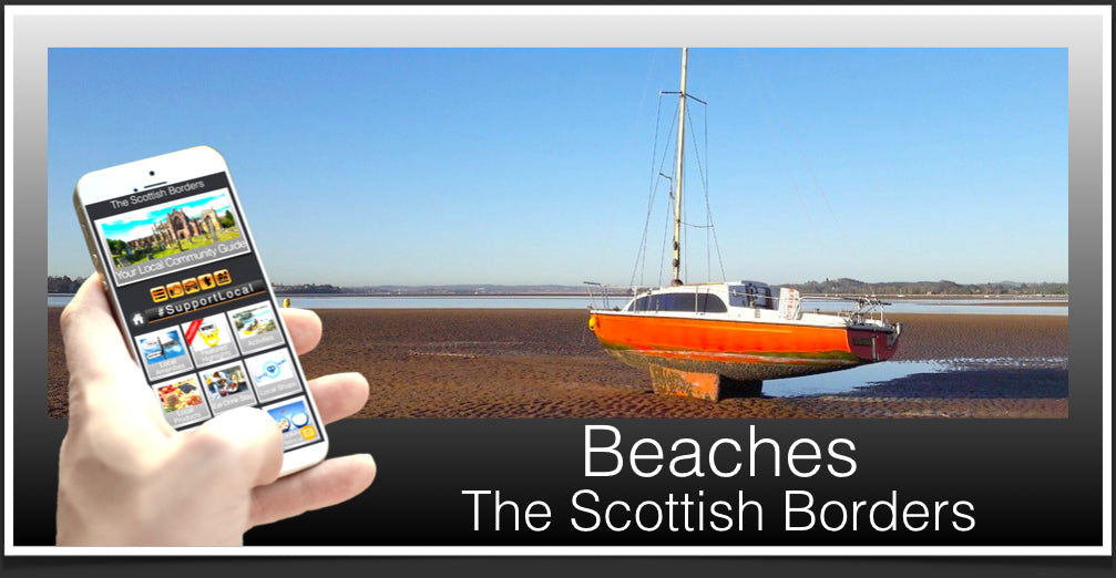 Beaches Header Borders