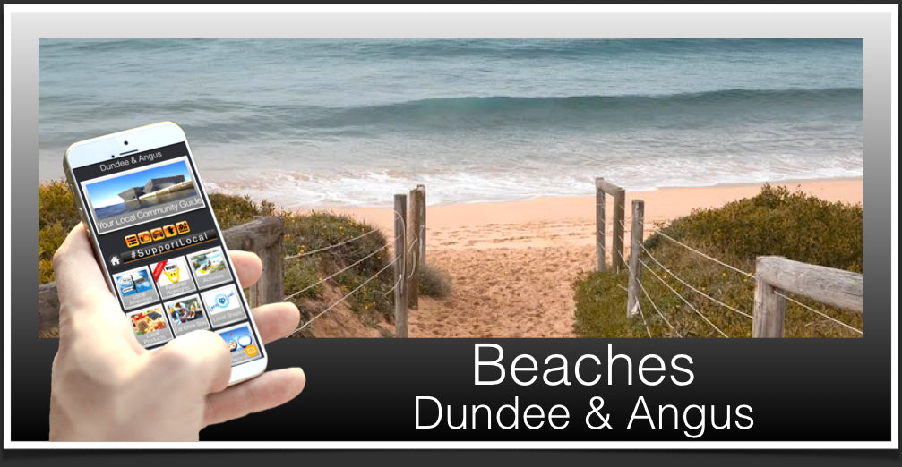 Beaches Header Dundee