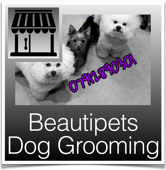 Beautipets Dog Grooming