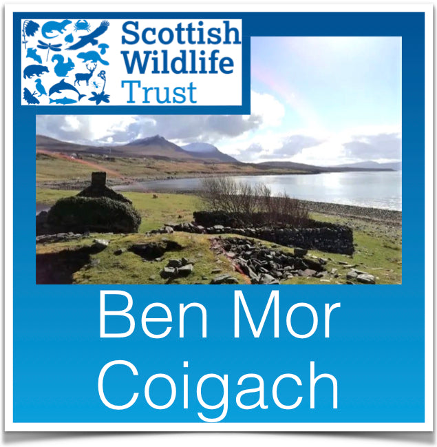 Ben Mor Coigach