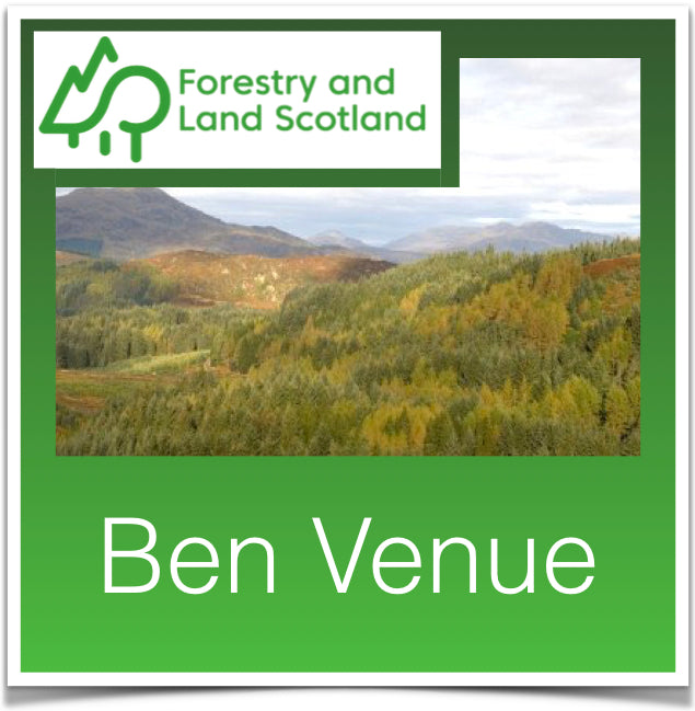 Ben Venue