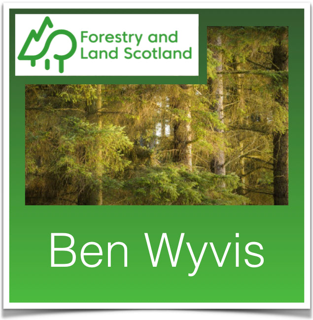 Ben Wyvis