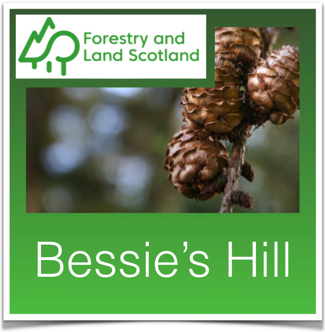 Bessie's Hill