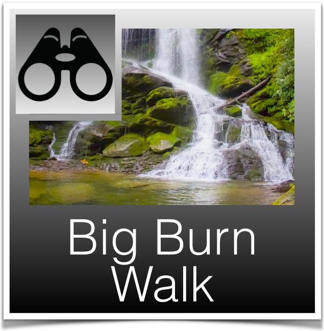 Big Burn Walk