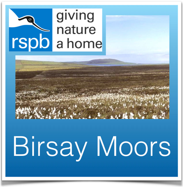 Birsay Moors