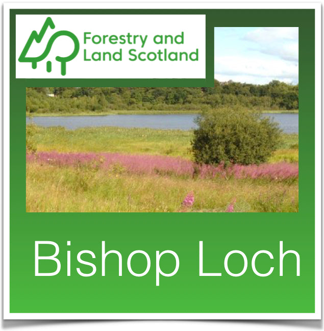 Bishop Loch