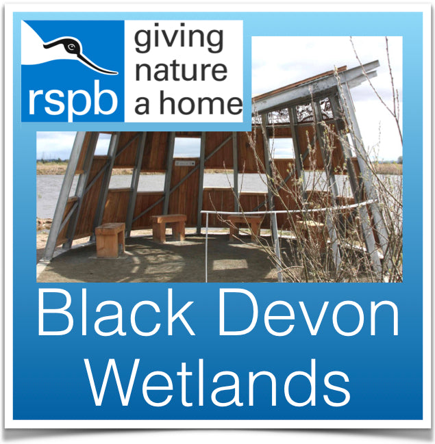 Black Devon Wetlands