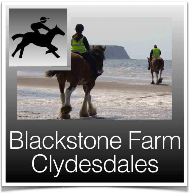 Blackstone Farm Clydesdales