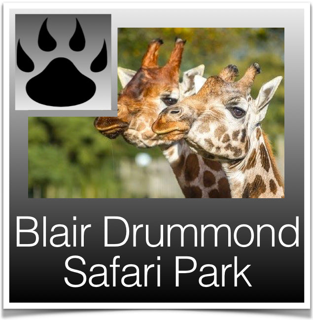 Blair Drummond Safari Park