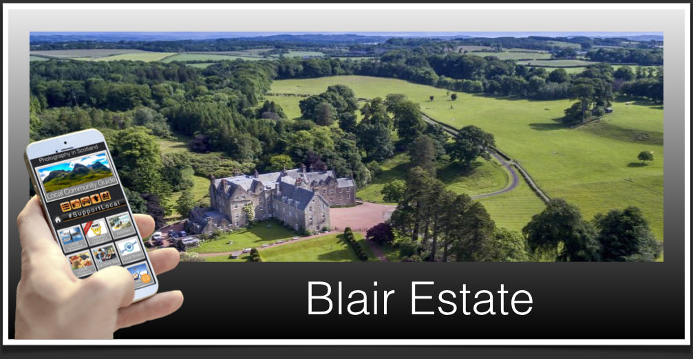 Blair Estate