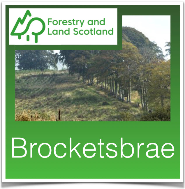 Brocketsbrae