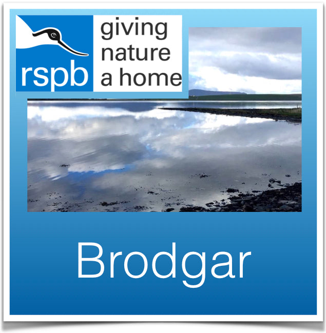 RSPB Brodgar Image