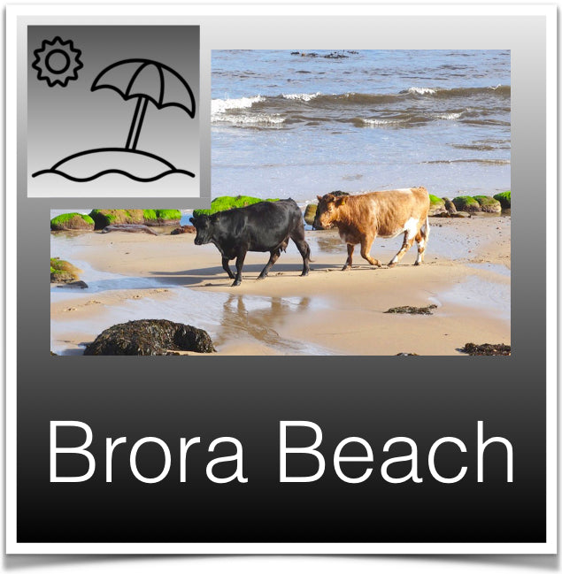Brora Beach