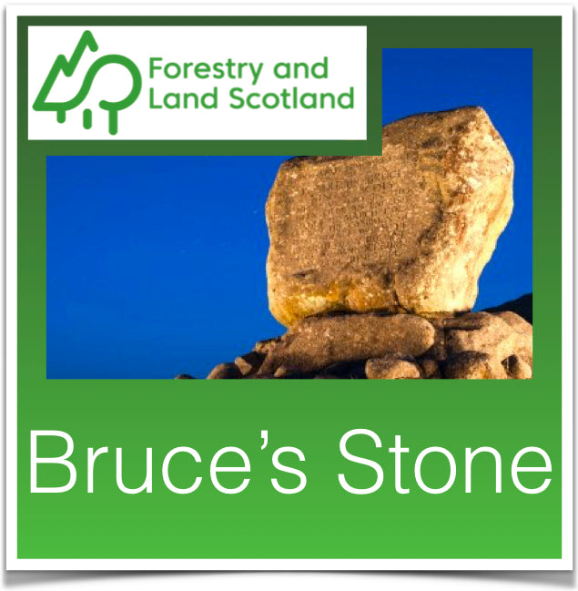 Bruce's Stone