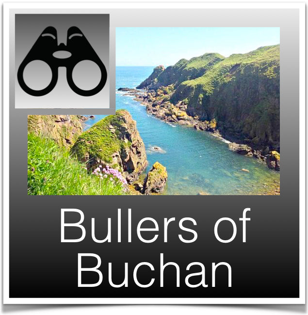 Bullers of buchan