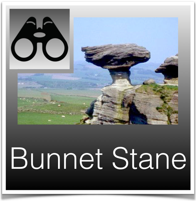 Bunnet Stane