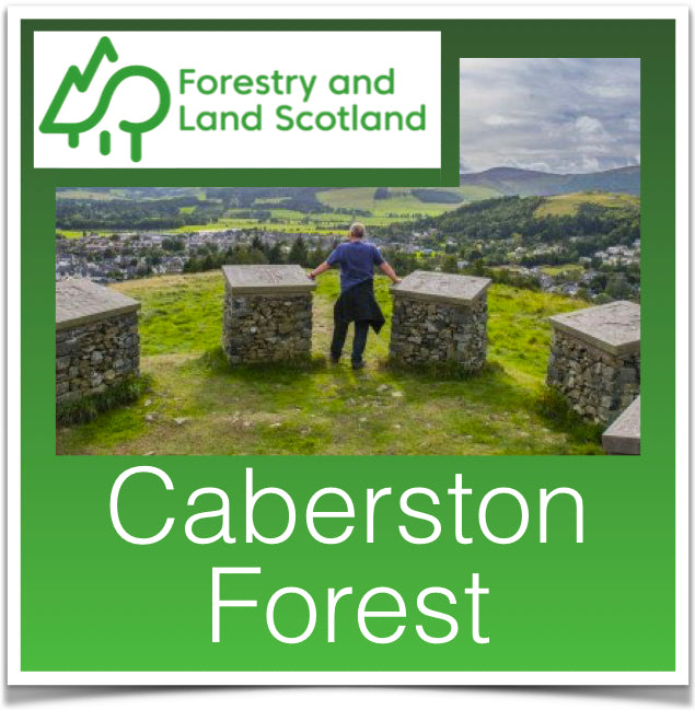 Caberston Forest