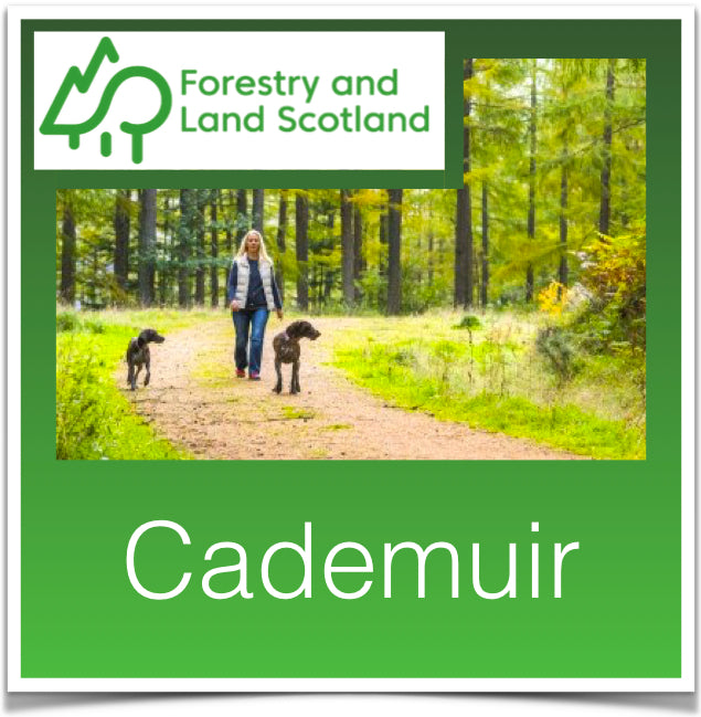 Cademuir